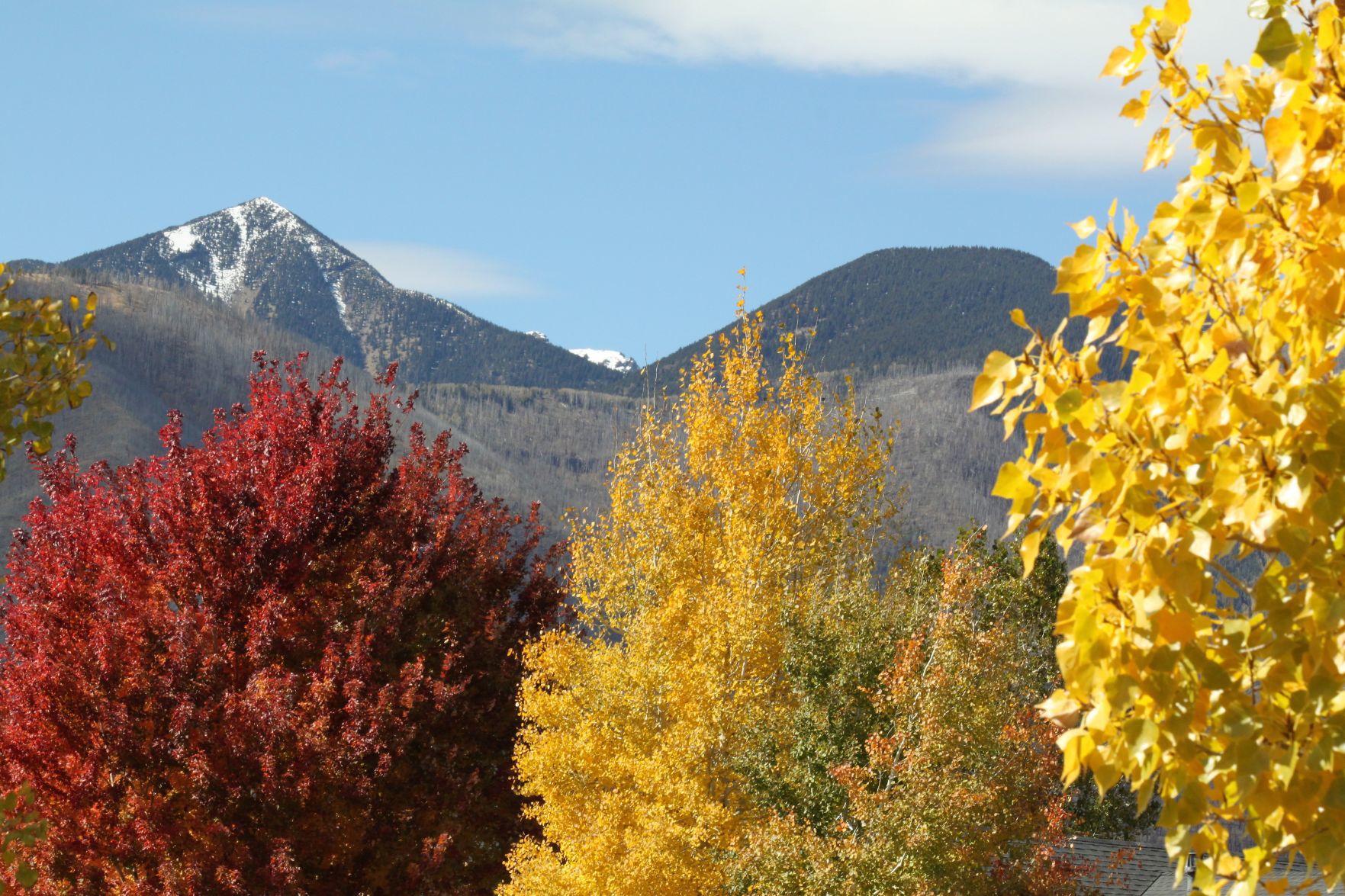 A Peak of the Peaks